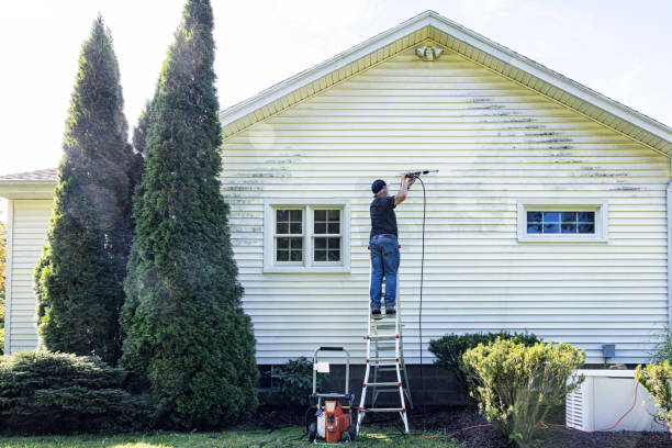 Best Solar Panel Cleaning  in Eidson Road, TX