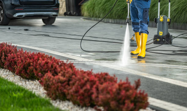 Best Gutter Cleaning  in Eidson Road, TX